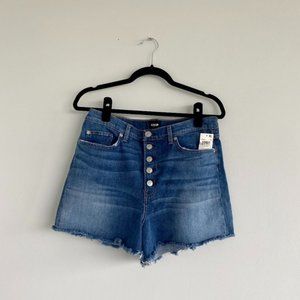 Husdon High Waisted Shorts